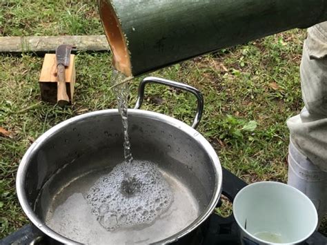 竹水|【竹水】竹から水を獲る方法